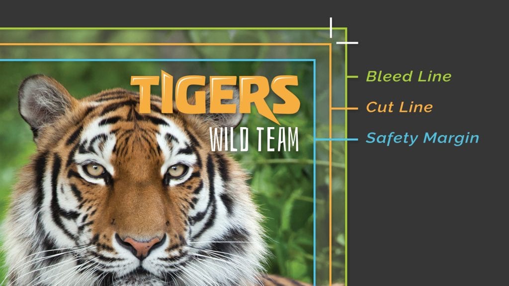 Good Bleed and Safety Margins