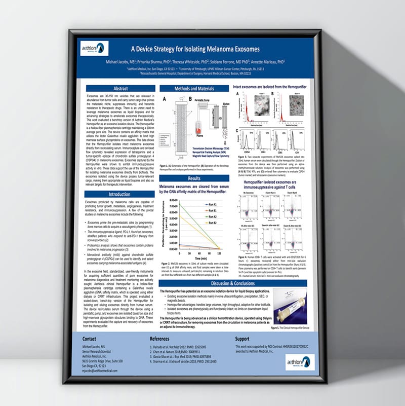 Scientific Poster Example Scientific Poster Example