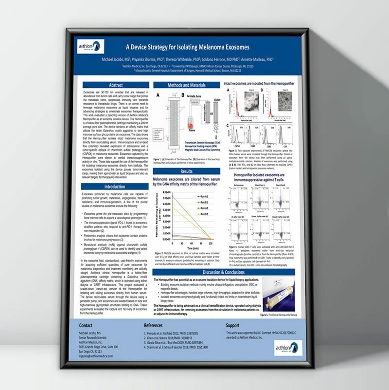 Scientific Poster Example